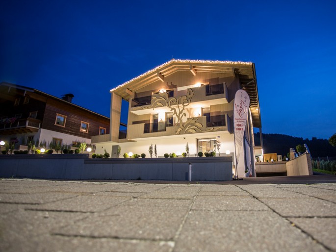 Enjoy the alps bei Nacht